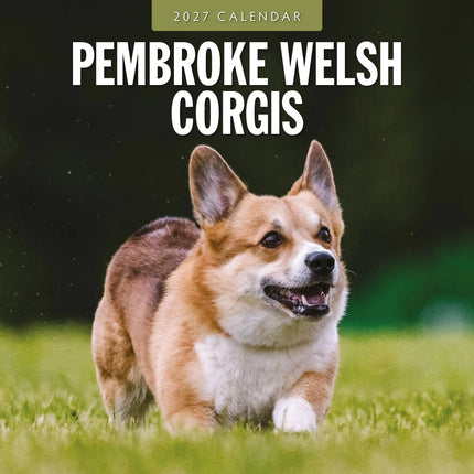 Red Robin Welsh Corgi Pembroke Kalender 2027
