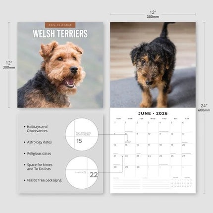 Red Robin Welsh Terrier Kalender 2026