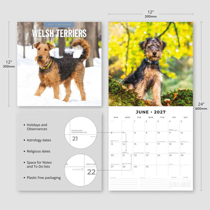 Red Robin Welsh Terrier Kalender 2027