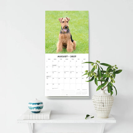 Red Robin Welsh Terrier Kalender 2027