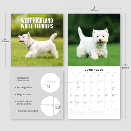 Red Robin West Highland White Terrier Kalender 2026