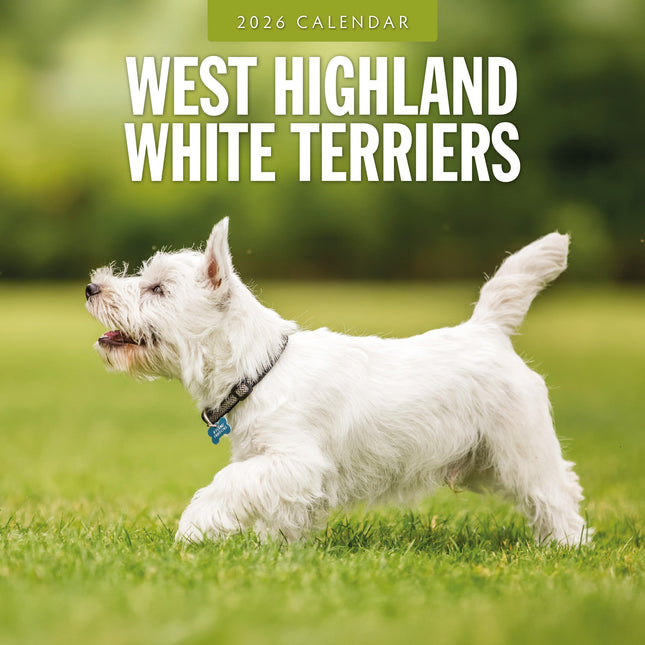 Red Robin West Highland White Terrier Kalender 2026