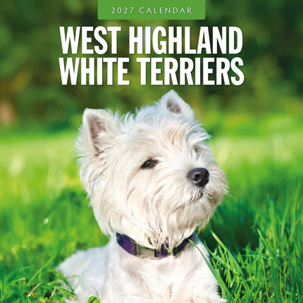 Red Robin West Highland White Terrier Kalender 2027