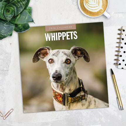 Red Robin Whippet Kalender 2026