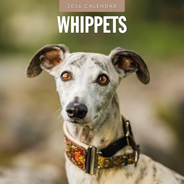 Red Robin Whippet Kalender 2026