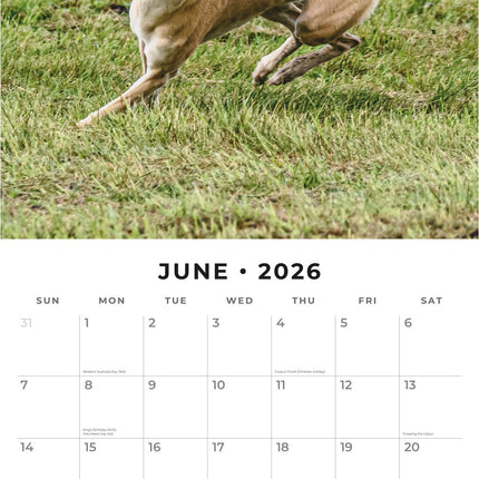 Red Robin Whippet Kalender 2026