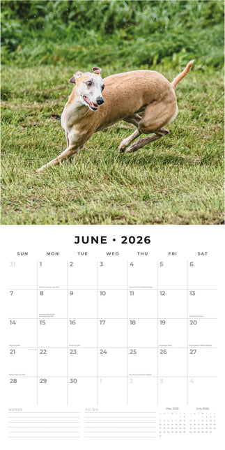 Red Robin Whippet Kalender 2026