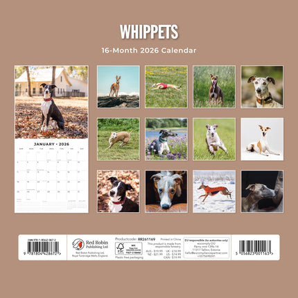 Red Robin Whippet Kalender 2026