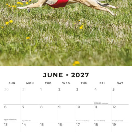 Red Robin Whippet Kalender 2027