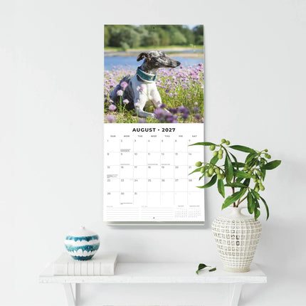 Red Robin Whippet Kalender 2027