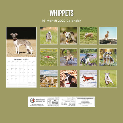 Red Robin Whippet Kalender 2027