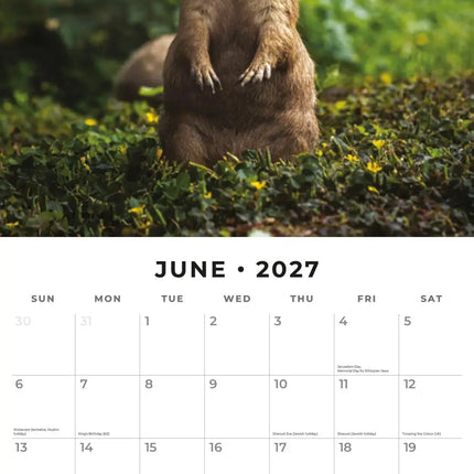 Red Robin Wildlife of America Kalender 2027
