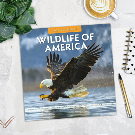 Red Robin Wildlife of America Kalender 2027