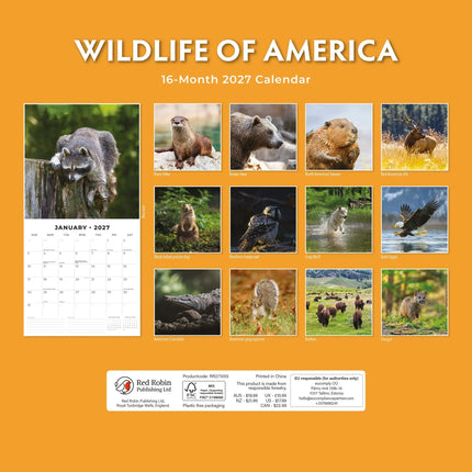Red Robin Wildlife of America Kalender 2027