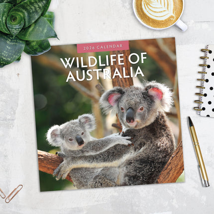 Red Robin Wildlife of Australia Kalender 2026