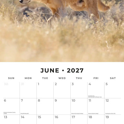 Red Robin Wildlife of Australia Kalender 2027
