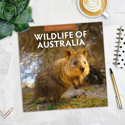 Red Robin Wildlife of Australia Kalender 2027