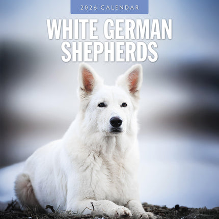 Red Robin Witte Herder Kalender 2026