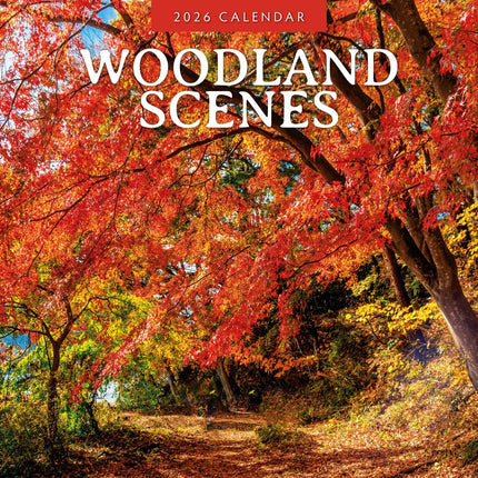 Red Robin Woodland Scenes Kalender 2026