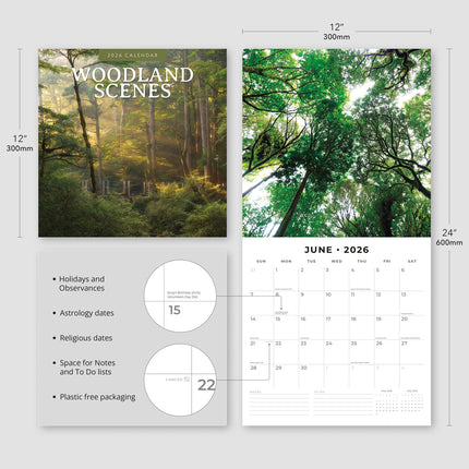 Red Robin Woodland Scenes Kalender 2026
