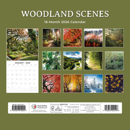 Red Robin Woodland Scenes Kalender 2026