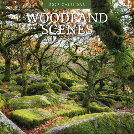 Red Robin Woodland Scenes Kalender 2027