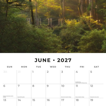 Red Robin Woodland Scenes Kalender 2027