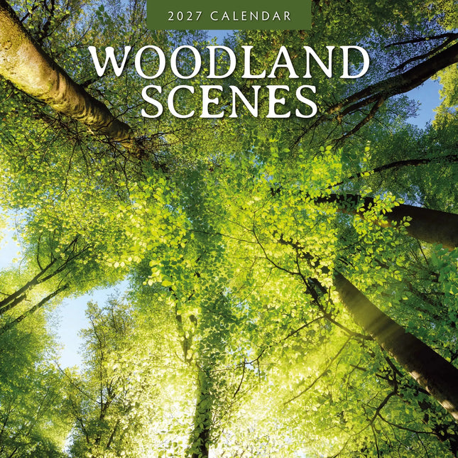 Red Robin Woodland Scenes Kalender 2027
