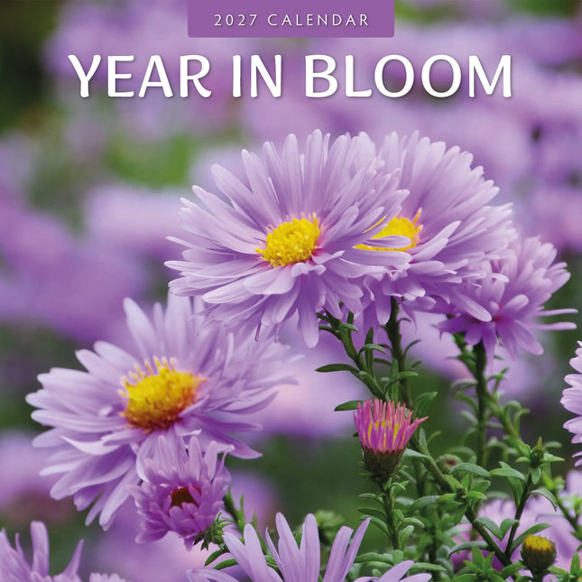 Red Robin Year in Bloom Kalender 2027