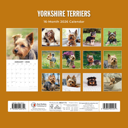 Red Robin Yorkshire Terrier Kalender 2026