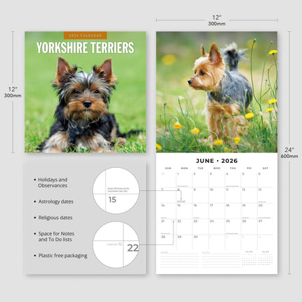 Red Robin Yorkshire Terrier Kalender 2026
