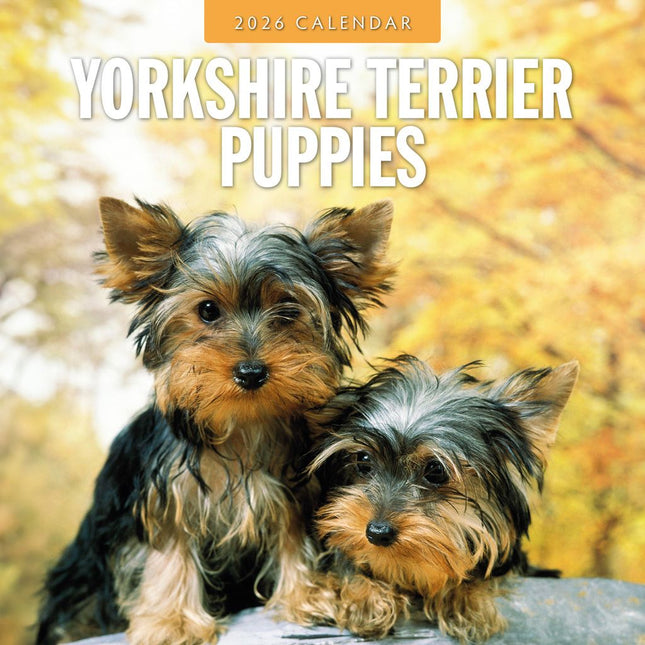 Red Robin Yorkshire Terrier Puppies Kalender 2026