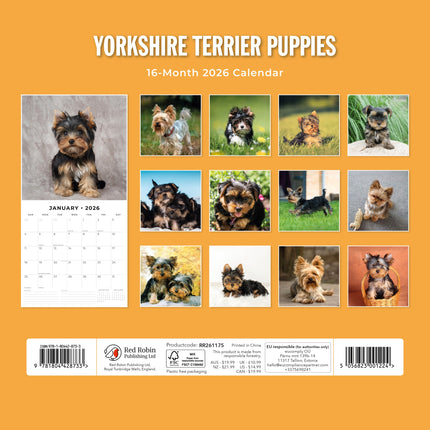 Red Robin Yorkshire Terrier Puppies Kalender 2026