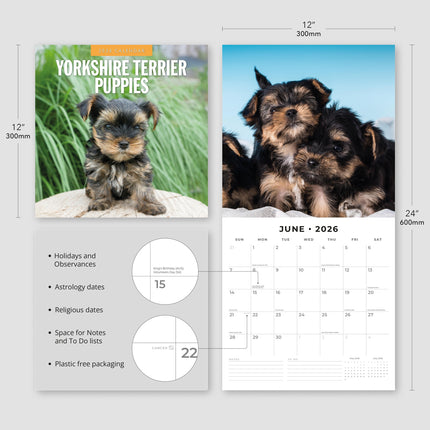 Red Robin Yorkshire Terrier Puppies Kalender 2026