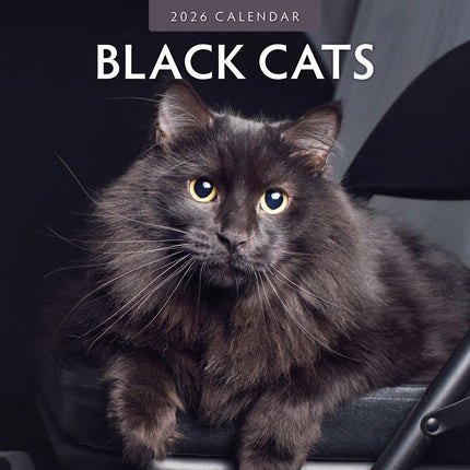 Red Robin Zwarte Katten Kalender 2026
