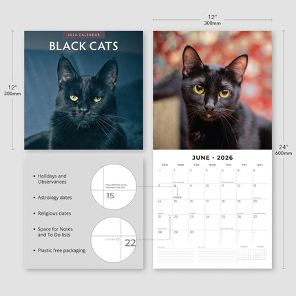 Red Robin Zwarte Katten Kalender 2026
