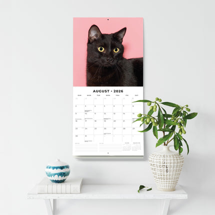 Red Robin Zwarte Katten Kalender 2026