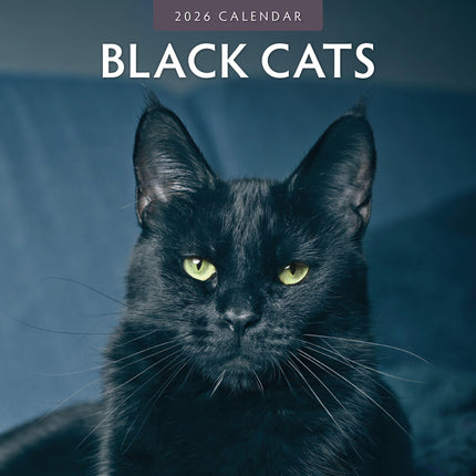 Red Robin Zwarte Katten Kalender 2026