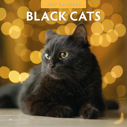 Red Robin Zwarte Katten Kalender 2027