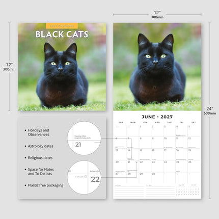 Red Robin Zwarte Katten Kalender 2027