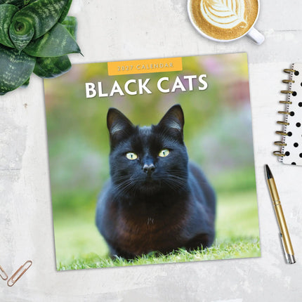 Red Robin Zwarte Katten Kalender 2027