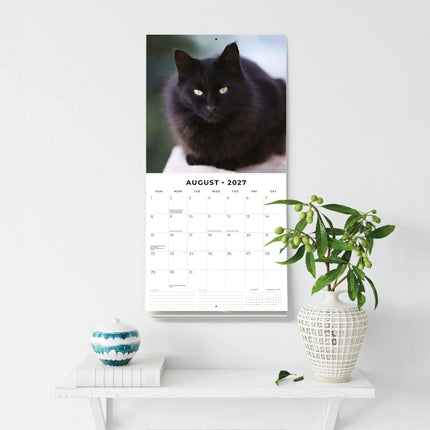 Red Robin Zwarte Katten Kalender 2027