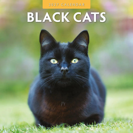 Red Robin Zwarte Katten Kalender 2027
