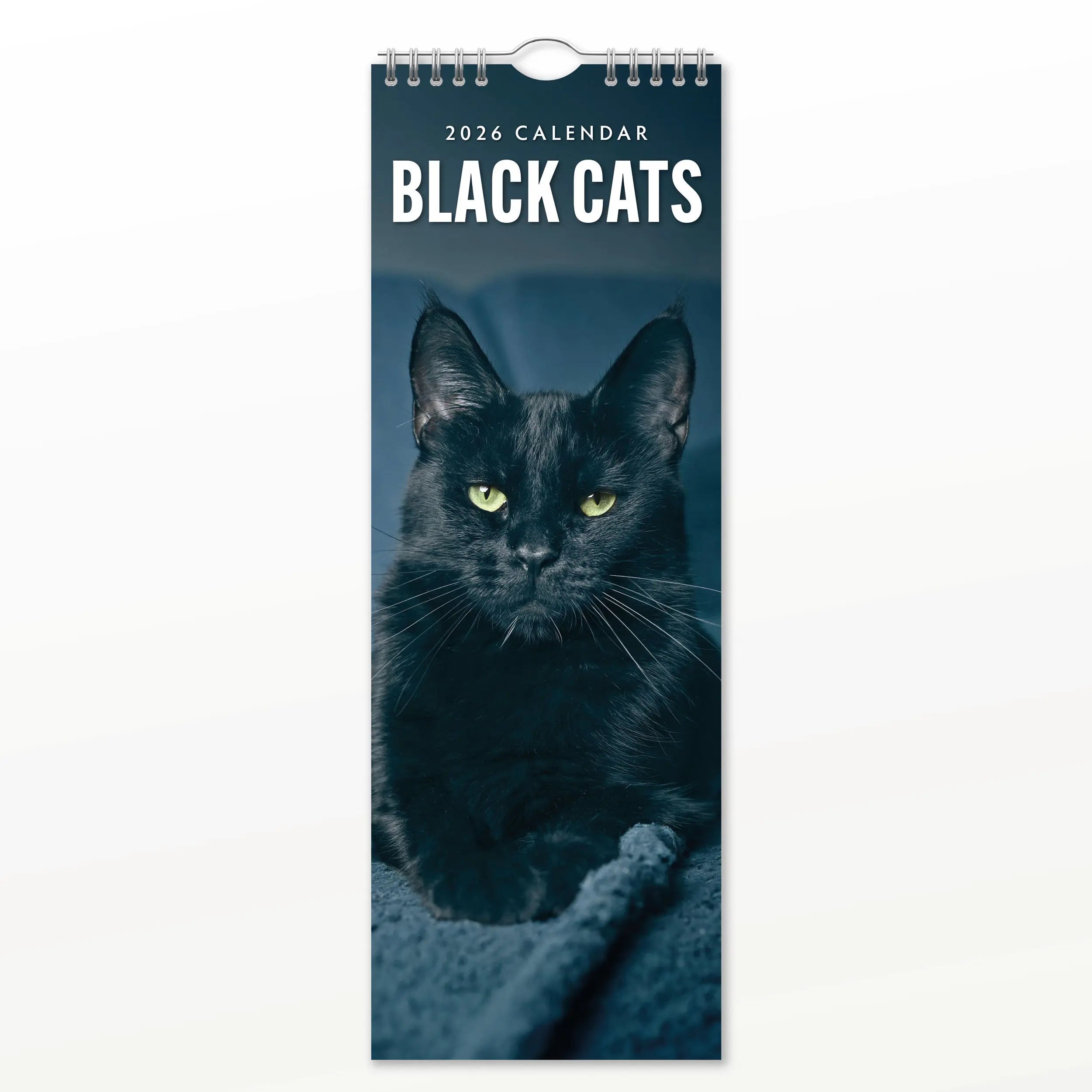 Buy Black Cat Calendar 2026? Easily and quickly ordered online Buy Black Cat Calendar 2026? Easily and quickly ordered online