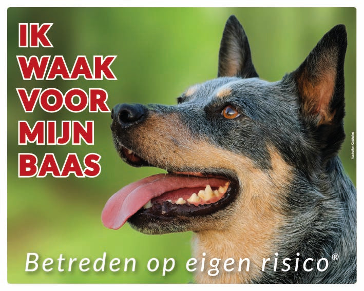 Stickerkoning Australian Cattle Dog Waakbord