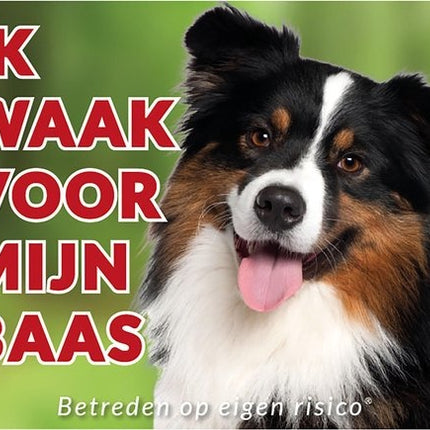 Stickerkoning Australian Shepherd Waakbord - Ik waak voor mijn Baas