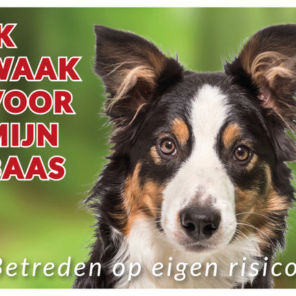 Stickerkoning Border Collie Waakbord