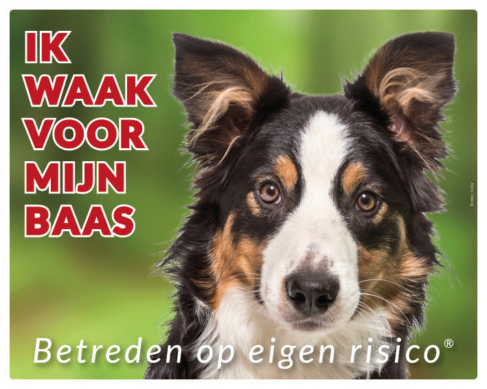 Stickerkoning Border Collie Waakbord