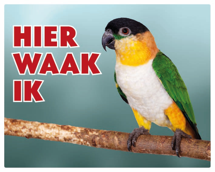 Stickerkoning Caipe Papegaai Waakbord - Hier Waak Ik