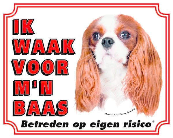 Stickerkoning Cavalier King Charles Spaniel Waakbord - Ik waak voor mijn Baas